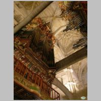 Tui, photo juantiagues, Wikipedia.jpg